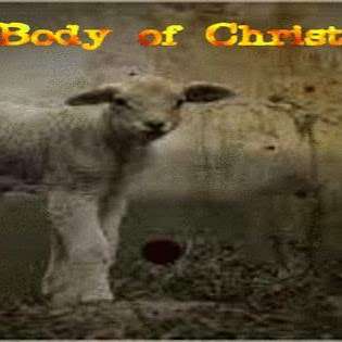 Body of Christ Church
